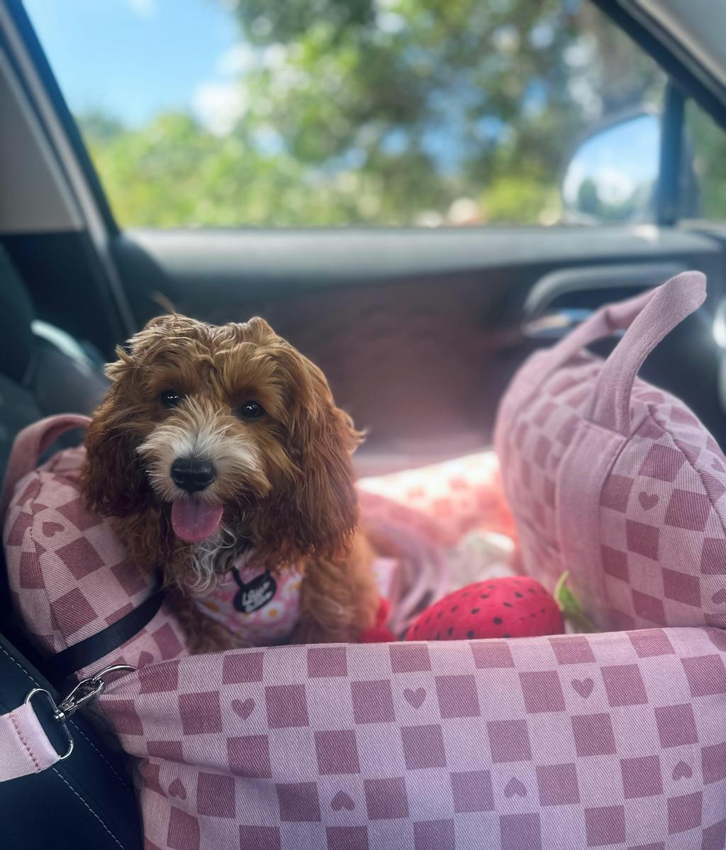 Vintage Heart Chequerboard Dog Car Seat Bed