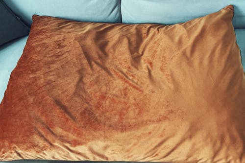 Tapis réversible apaisant imperméable pour chien de luxe