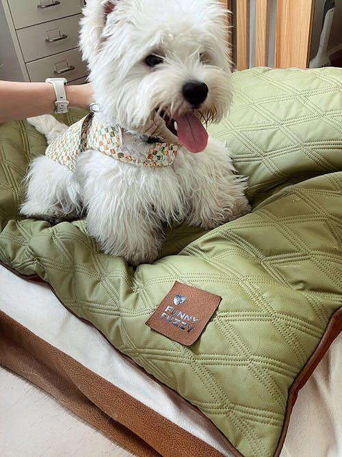Tapis réversible apaisant imperméable pour chien de luxe