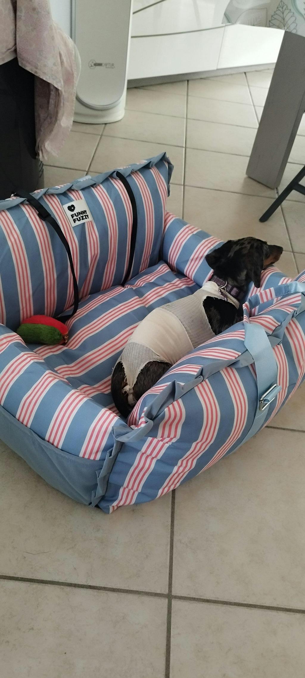 Siège auto imperméable pour chien - Première classe