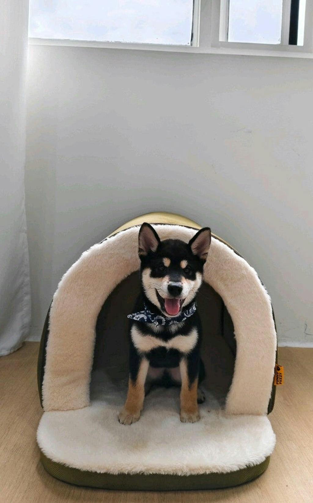 Caverne pour chat et chien chaude et douillette style grotte pour un sommeil profond