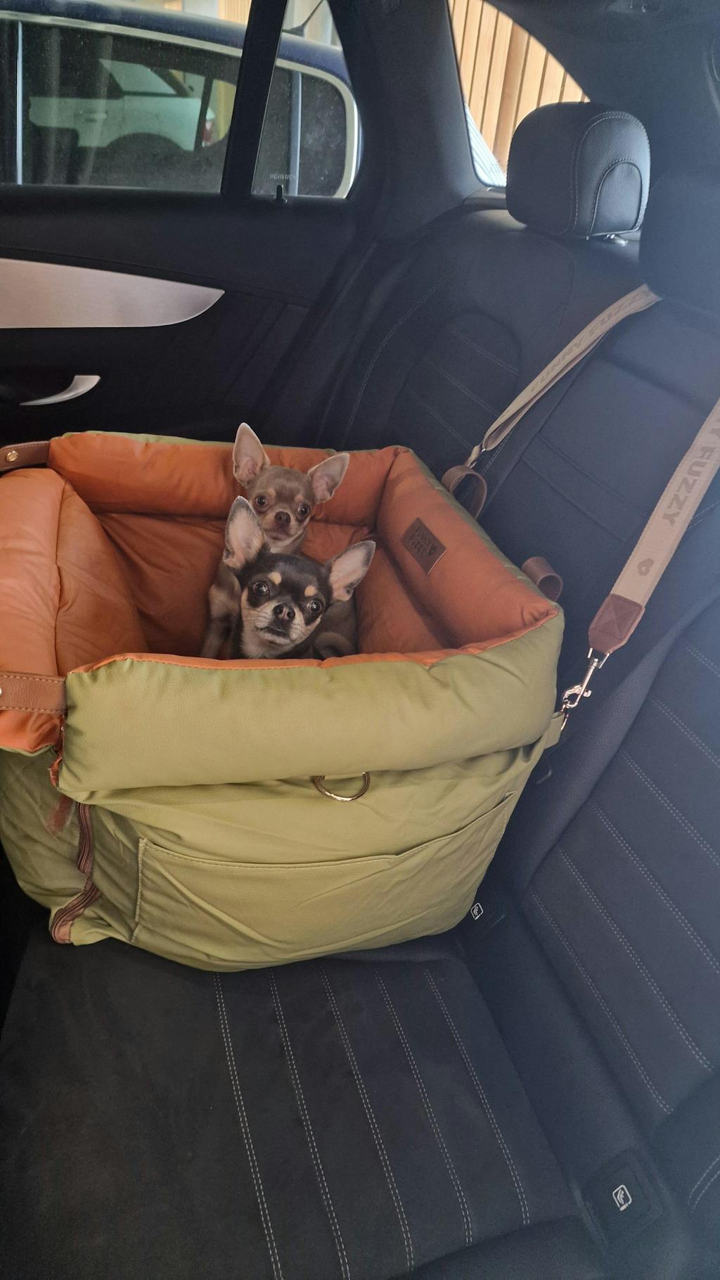 Siège d'appoint pour chien en similicuir - Urban Voyager