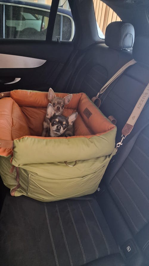 Siège d'appoint pour chien en similicuir - Urban Voyager