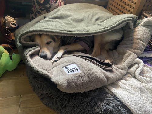 Extremely Soft Fuzzy Puppy Sleeping Bag Dog Bed