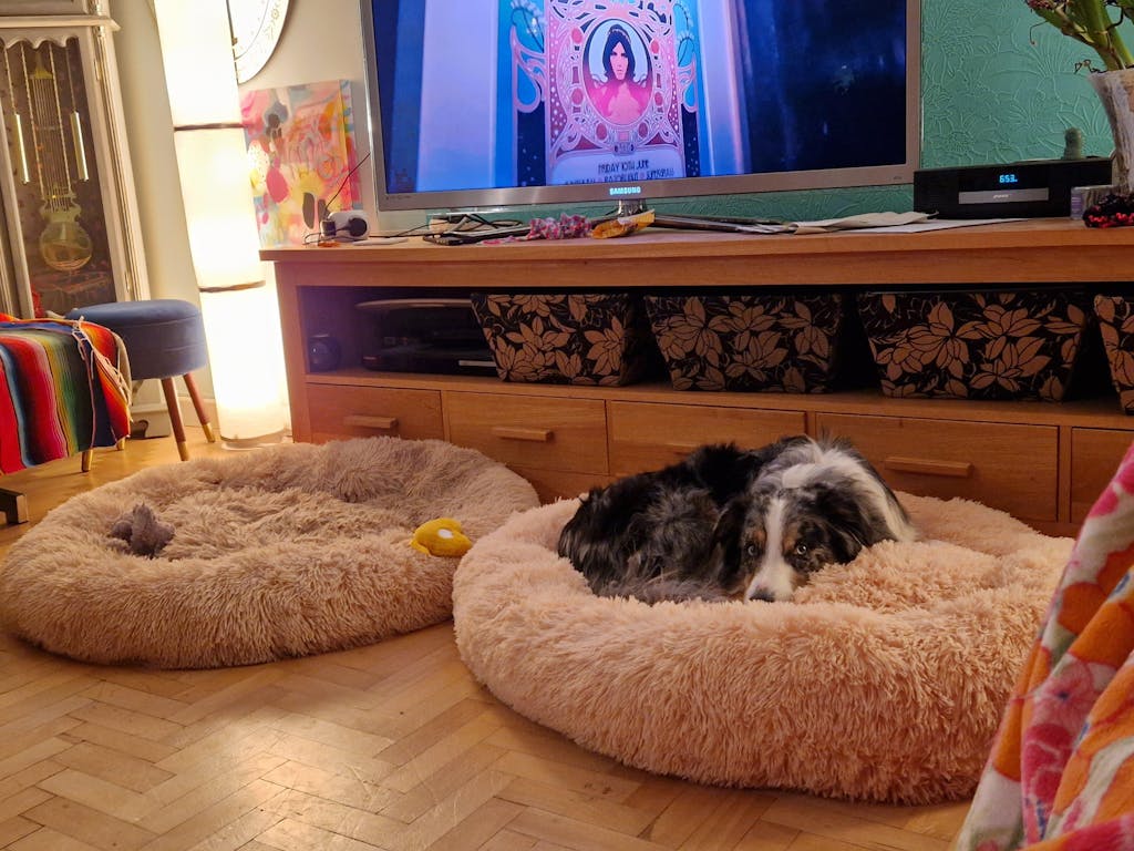 Limited Edition Brand Gift For You