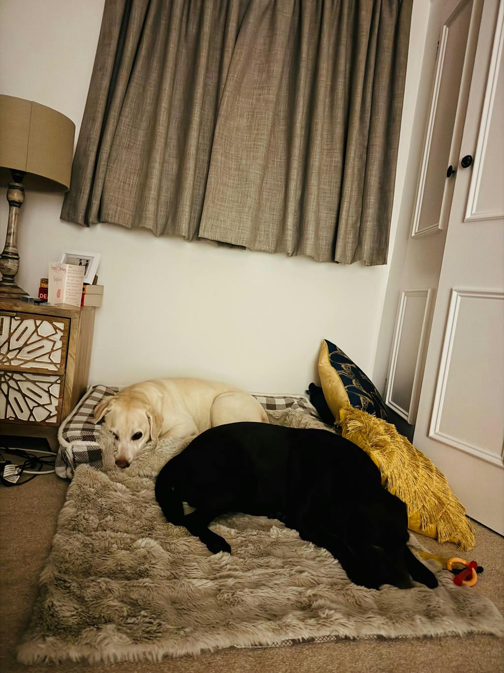 Classic Plaid Ergonomic Calming Dog Bed - Expandable＆Washable