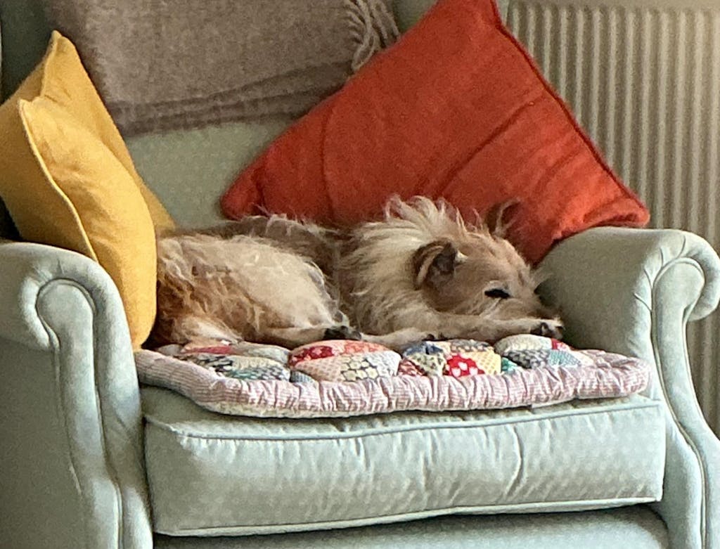 Garden Chic Cotton Protective Sofa Cover