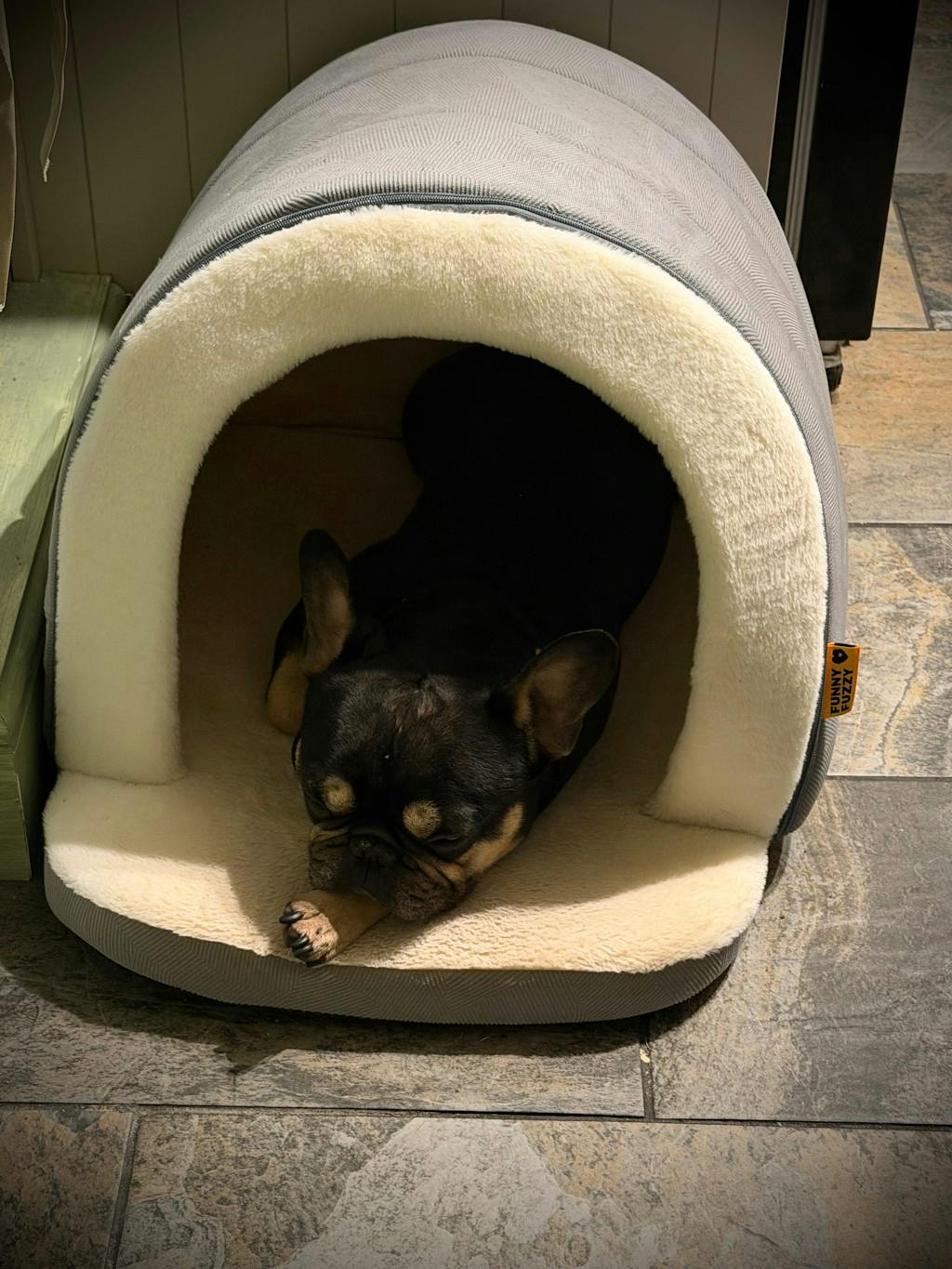 Limited Edition Brand Gift For You