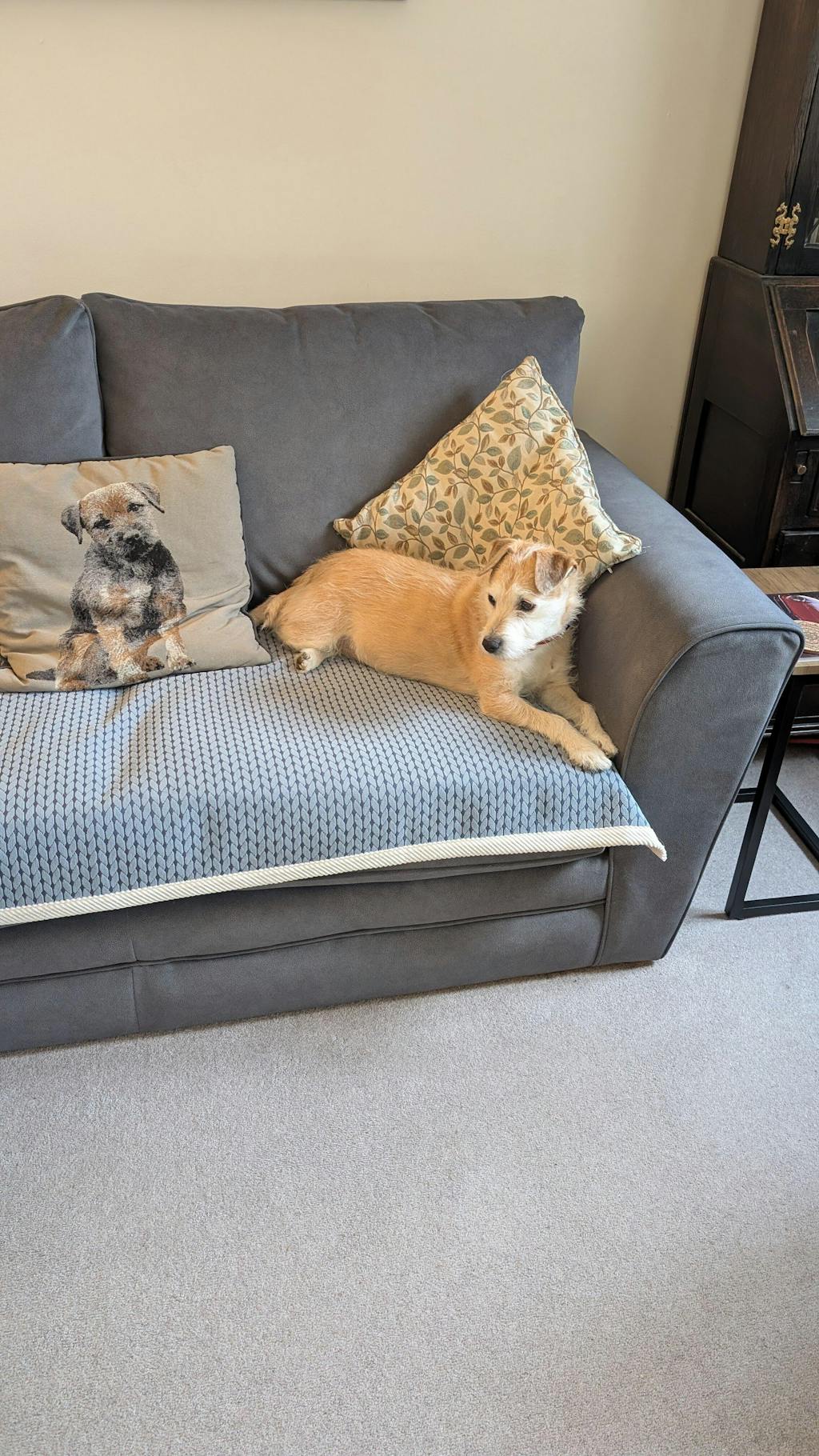 Wheat Ears Pattern Chenille Anti-Scratch Sofa Cover