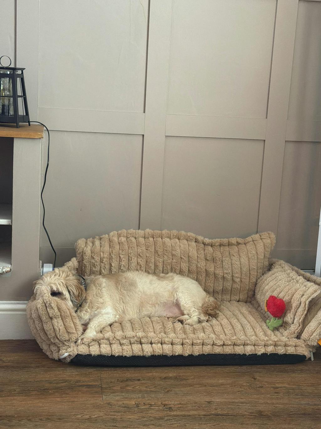 Large Washable Fluffy Orthopaedic Soft Dog Sofa Bed-Snoozy Dream