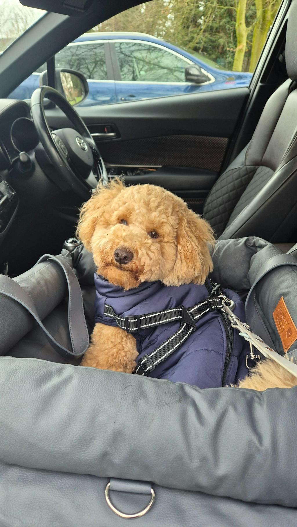 Deluxe Faux Leather Dog Car Seat Booster Bed - Urban Voyager