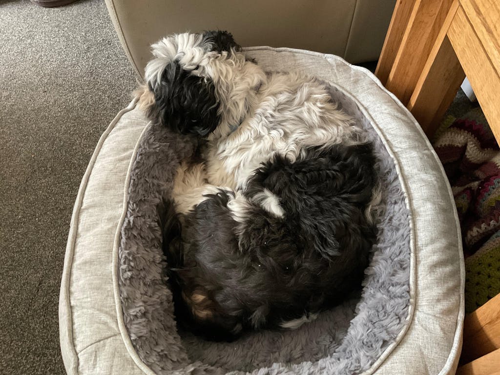 Limited Edition Brand Gift For You