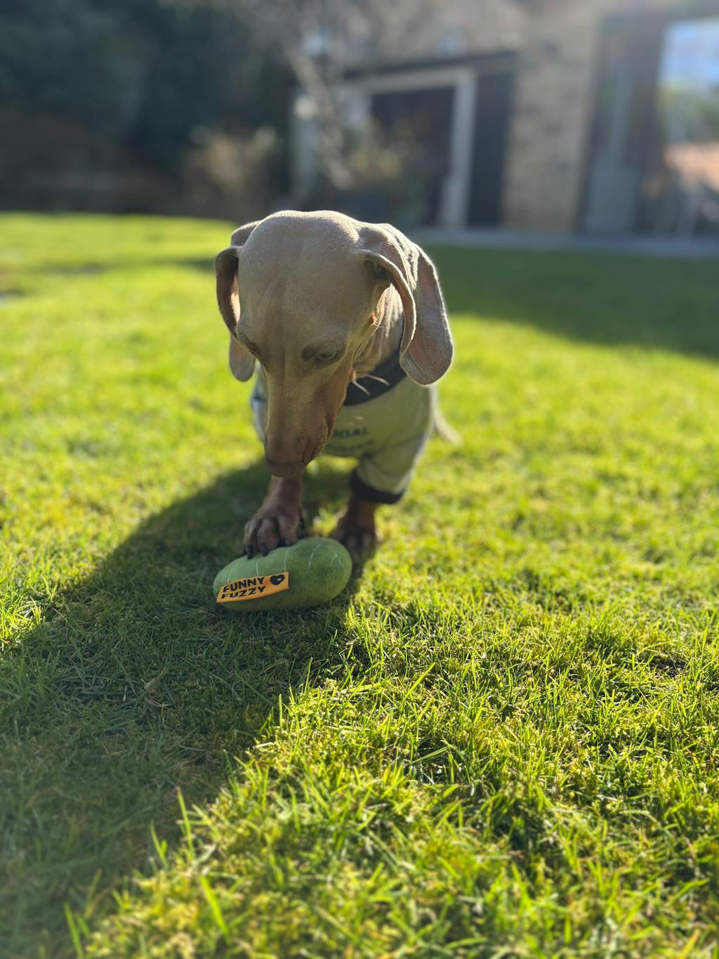 Breathable Thin Puppy Crewneck T-Shirt