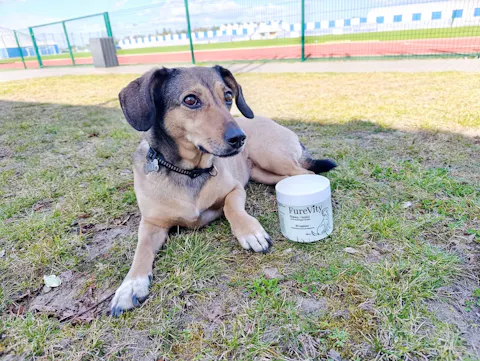 Trawienie - zdrowy brzuszek - 60 kąsków