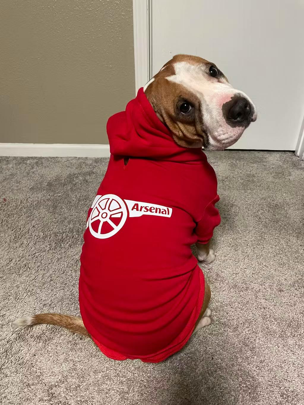 Arsenal - Personalised Football Hoodie for Dog and Cat