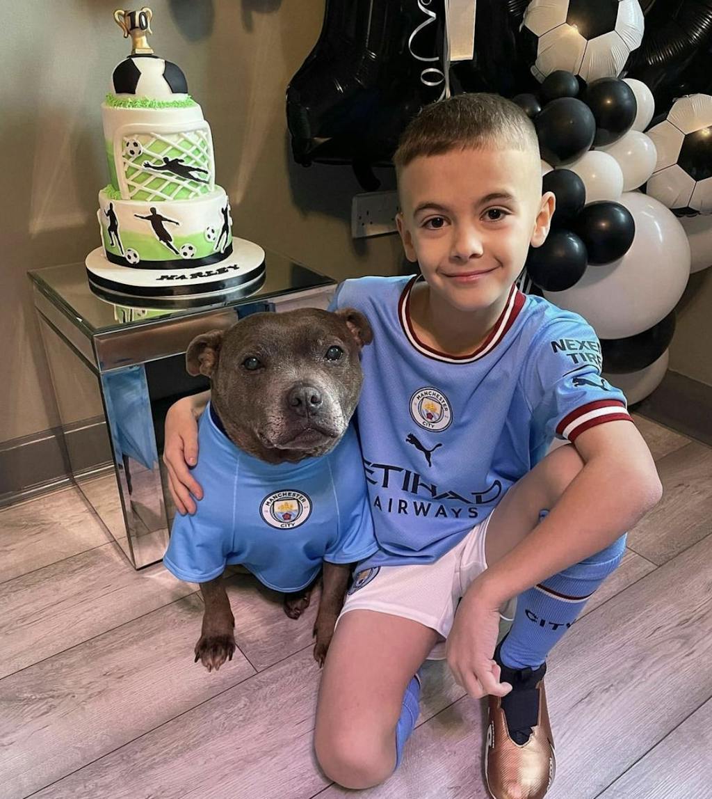 Manchester City - Personalised Football Hoodie for Dog and Cat
