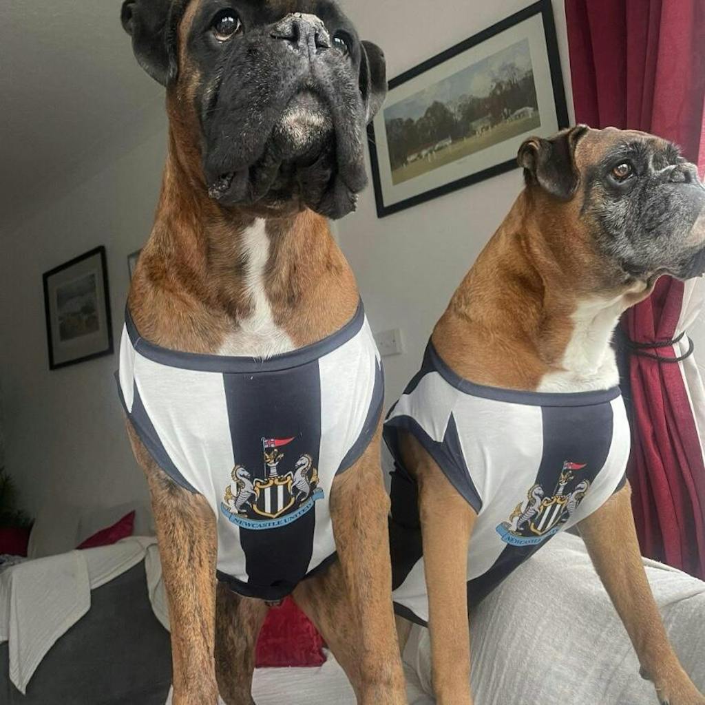 Newcastle United FC 25/26 Personalised Football Tank Top for Dog and Cat (with real FC logo option)