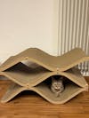 Cat Cellar
