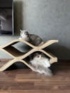 Cat Cellar