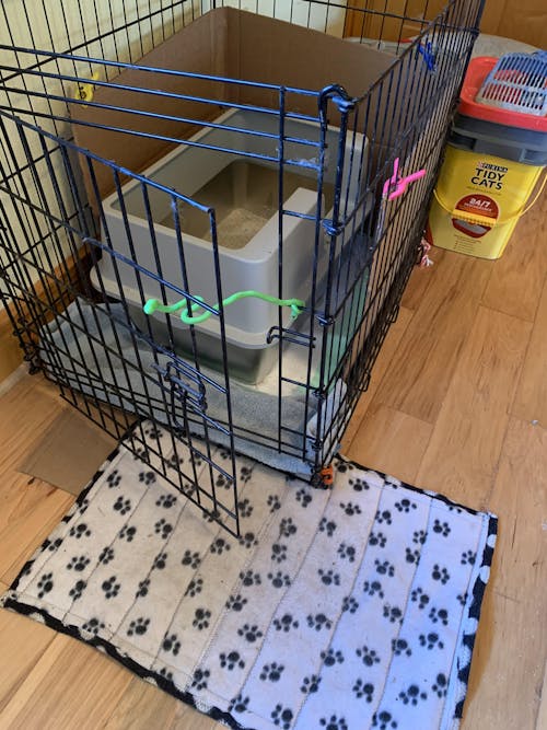 XL Side Entry Stainless Steel Litter Box