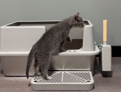 XL Side Entry Stainless Steel Litter Box