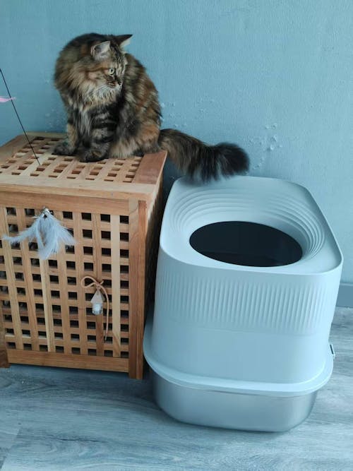 XL Full Enclosed Stainless Steel Sifting Litter Box for Regular Clumping Litter