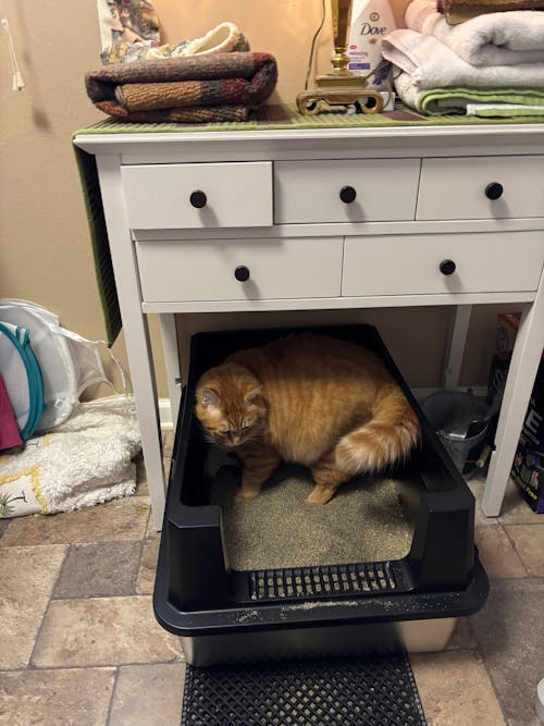 XXL Front Entry Stainless Steel Litter Box