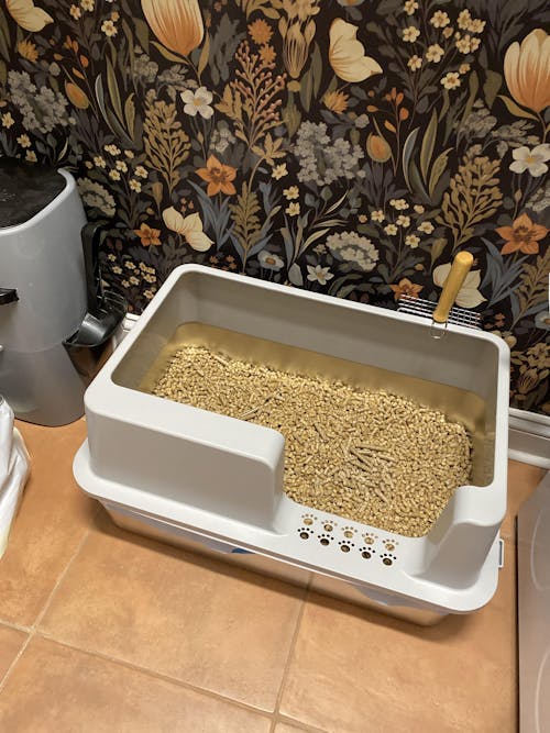 XL Stainless Steel Sifting Litter Box for Regular Litter