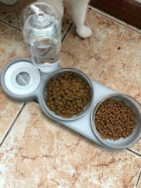 3 in 1 Elevated Cat Bowl with Water Fountain - Furvenzy