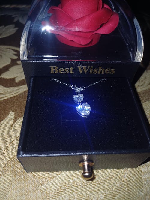 Box Love Trilogy Future Chic