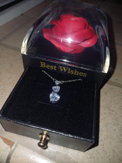 Box Love Trilogy Future Chic