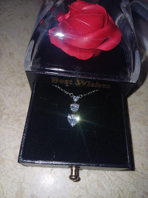 Box Love Trilogy Future Chic