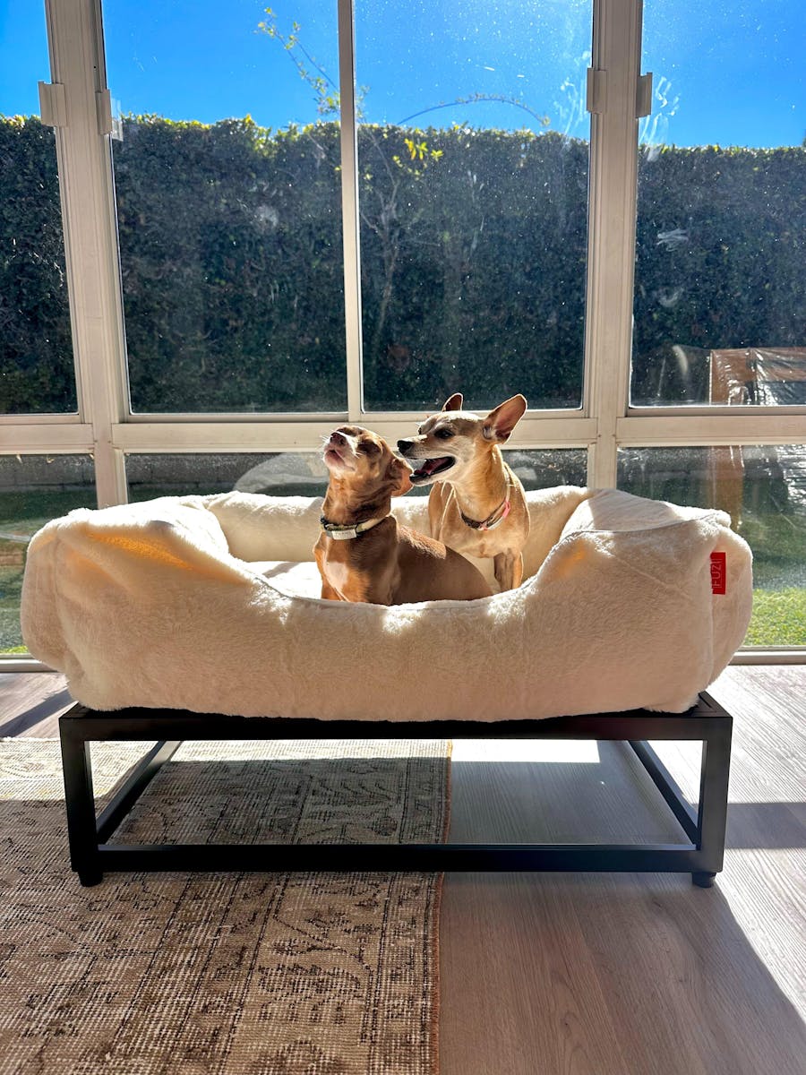 The Sammy Dog Bed Cover