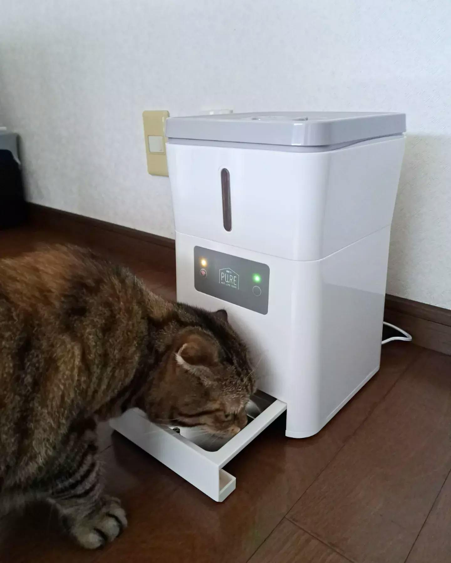 PURE PET AUTO FEEDER | PURE（ピュア）公式オンラインショップ