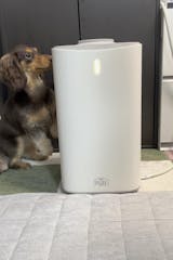 PURE PET AIR CLEANER | PURE（ピュア）公式オンラインショップ