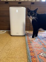 PURE Air GP-1J型 空気清浄機 未使用 PURE PET AIR CLEANER | PURE（ピュア）公式オンラインショップ