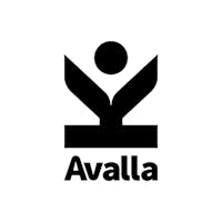 Avalla T-9 high pressure steam mop & steam cleaner, Avalla