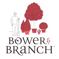 Store logo