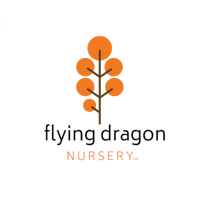 flyingdragonnursery