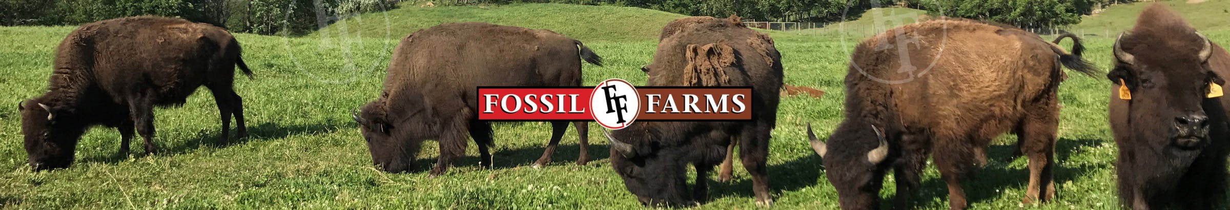 Fossil Farms | Reviews on 