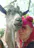 Reviewer avatar