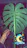 Reviewer avatar