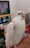 Reviewer avatar