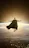 Reviewer avatar