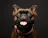 Reviewer avatar