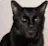 Reviewer avatar