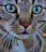 Reviewer avatar