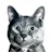 Reviewer avatar