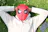 Reviewer avatar