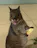 Reviewer avatar